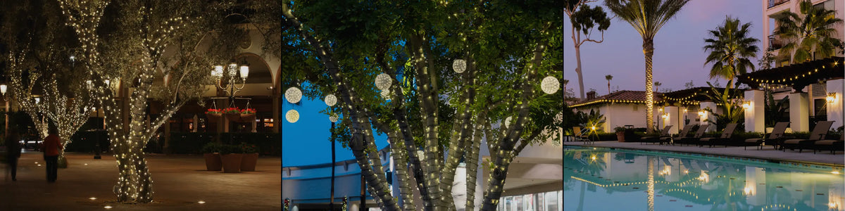 All-Season Commercial Lighting
