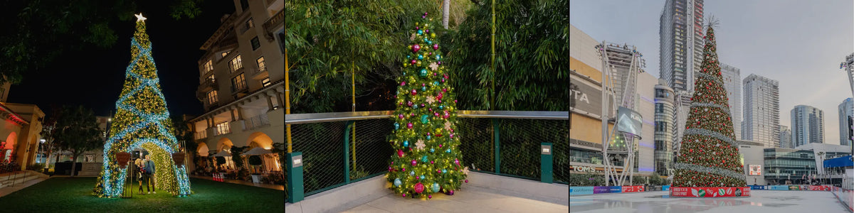 Commercial Christmas Trees