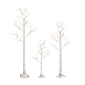 Dekra-Lite Birch Trees all sizes
