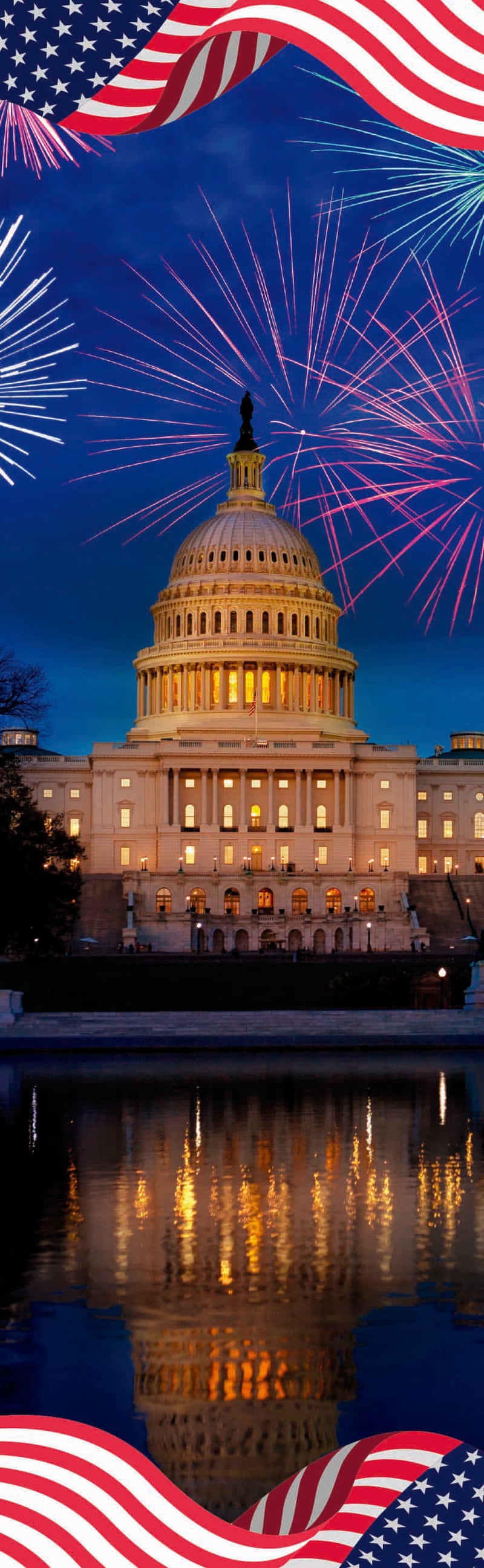 Capitol Celebration Single Vinyl Banner