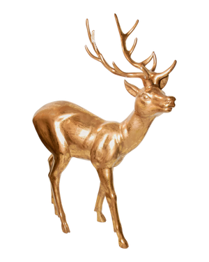 Elegant Deer