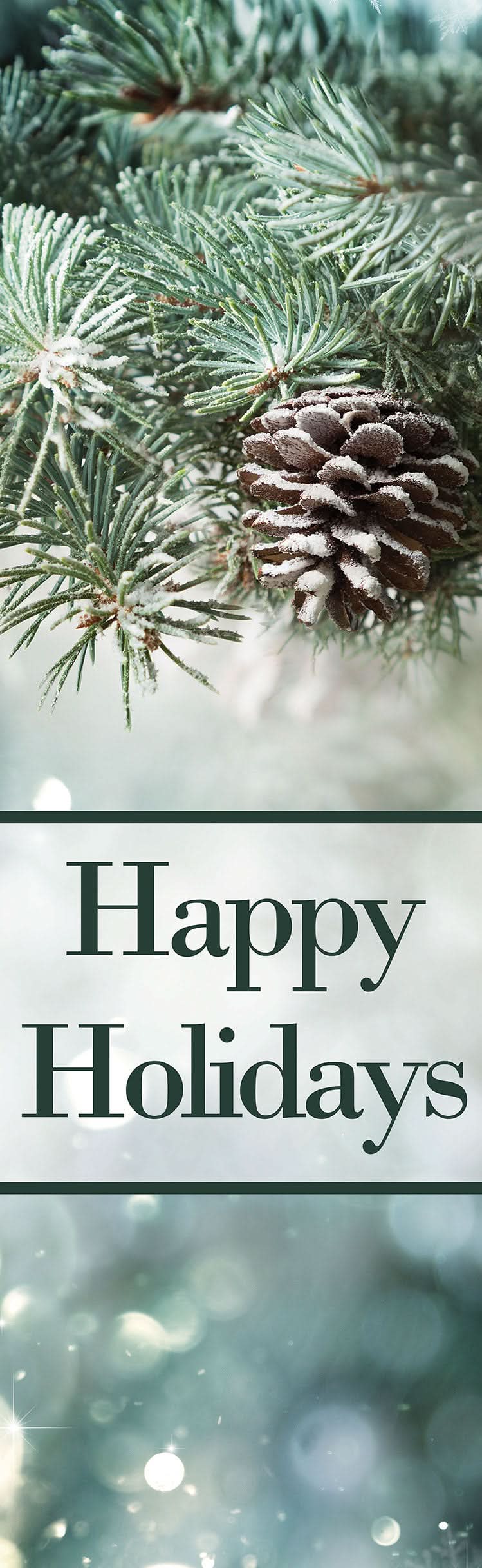 Holiday Evergreen Single Vinyl Banner