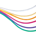 Dekra-Lite Cool White, Warm White, Orange, Pink, Purple, & Green LED Neon Flexible Lighting