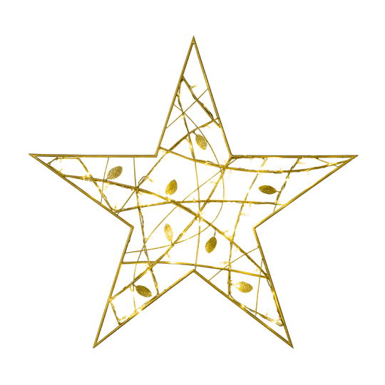 Leavesden Stars