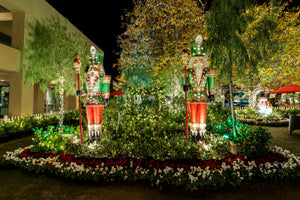 Lit Nutcrackers