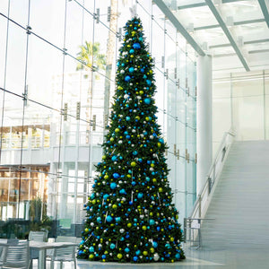 Sequoia Tree Collection