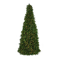 Sequoia Tree Collection