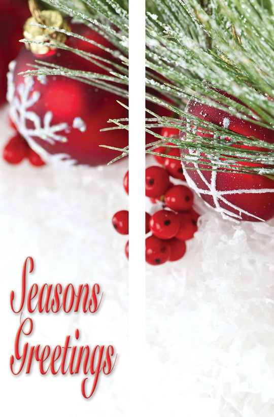 Snow & Berries Double Vinyl Banner Set