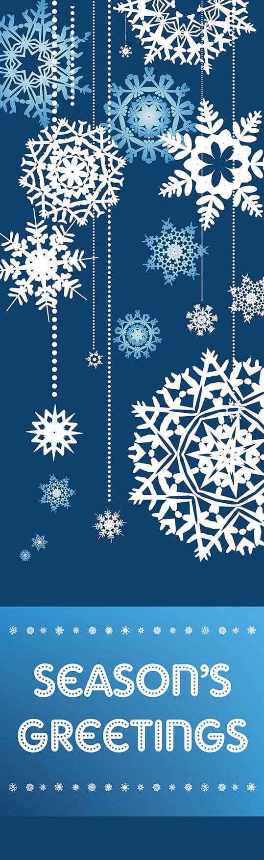 Snowflake Drop Single Vinyl Banner