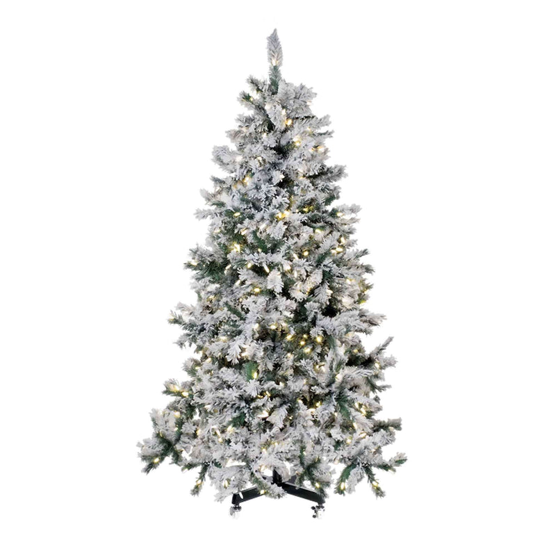Spruce Snow-Capped Tree Collection
