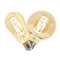 Dekra-Lite Tinted Edison & Globe Vintage LED Bulbs with 6 LEDs