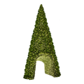 A large 40' Sequoia Tree, with a wide base and narrow top. The tree is decorated with many strands of warm white lights. The center of the tree is hollowed out to create a tunnel-like opening. The tunnel is decorated with lights, creating a winter wonderland scene.