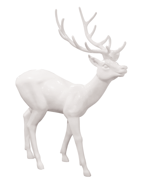 Elegant Deer
