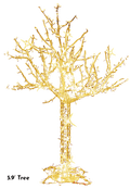 Cumberland Tree
