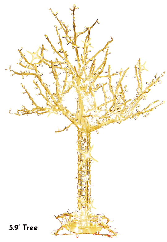 Cumberland Tree
