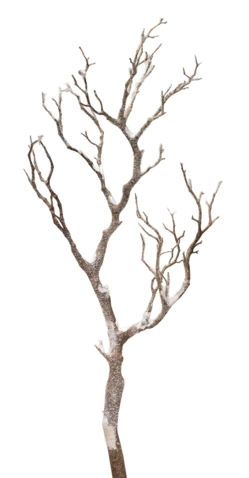 Snowy Wood Bendable Branches