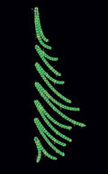 Dekra-Lite Evergreen Forest LED Pole Mount