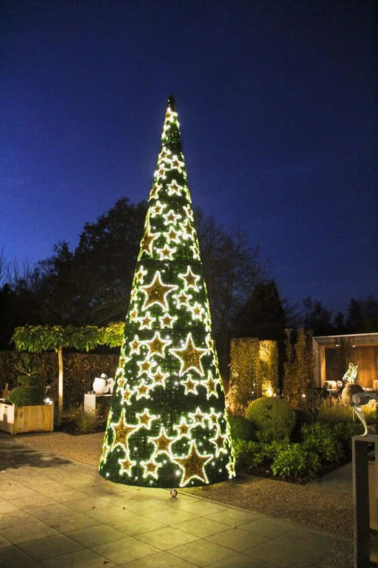 Hollywood Tree Collection