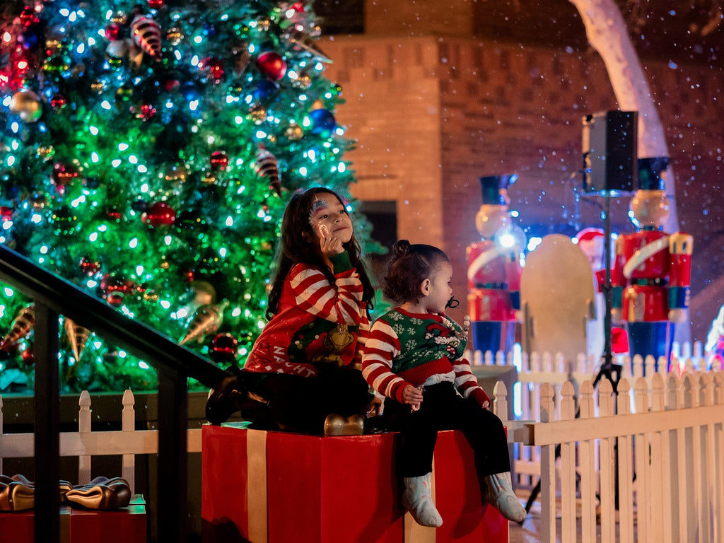 How Businesses Can Use Themed Holiday Decor to Build Customer Loyalty