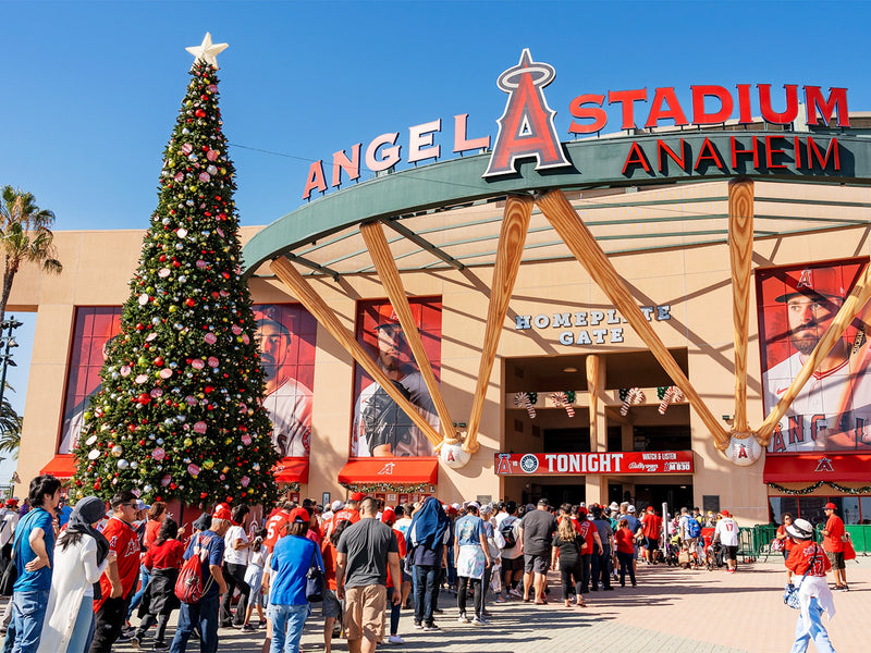 13 Ways to Decorate Your Outdoor Christmas Tree