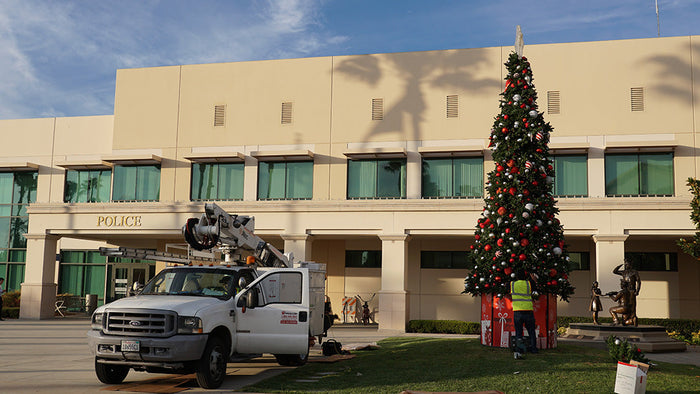 A man installing a giant outdoor Christmas tree in front of city hall