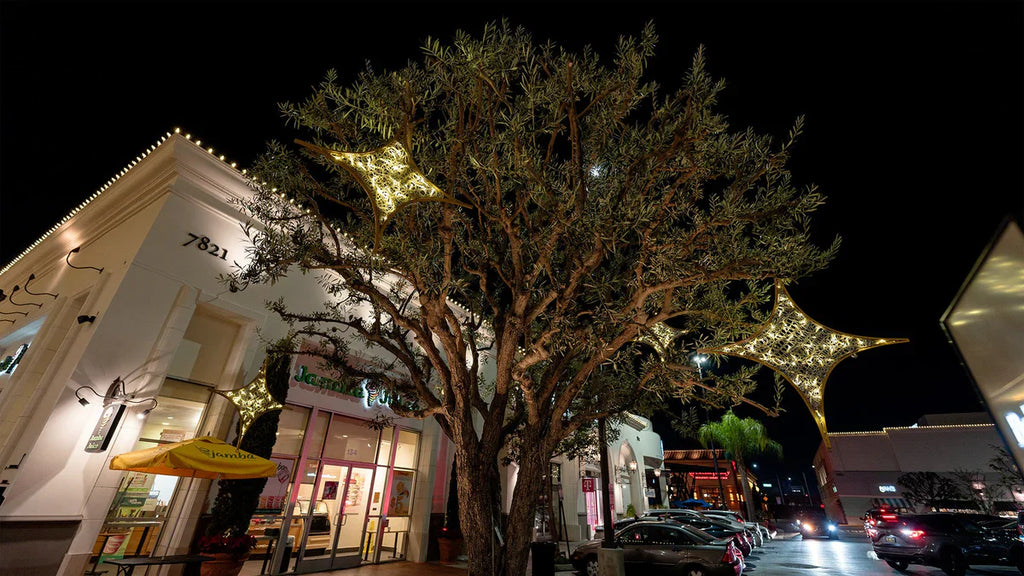 Seasonal Decorating: How to Keep Your Property Shining Year-Round
