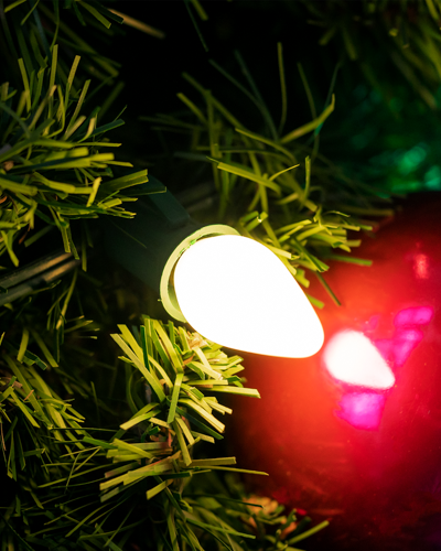 C7 bulb close up in Christmas tree