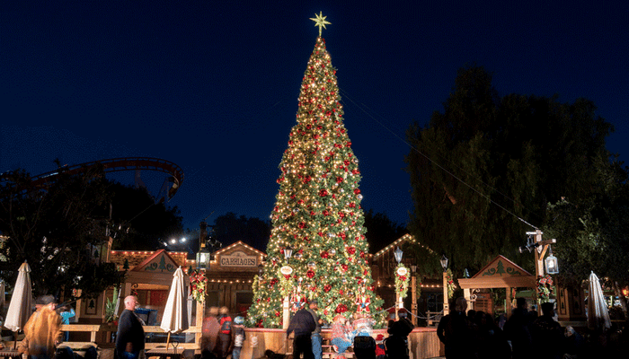 Giant Sequoia Tree at Knotts Berry Farm.