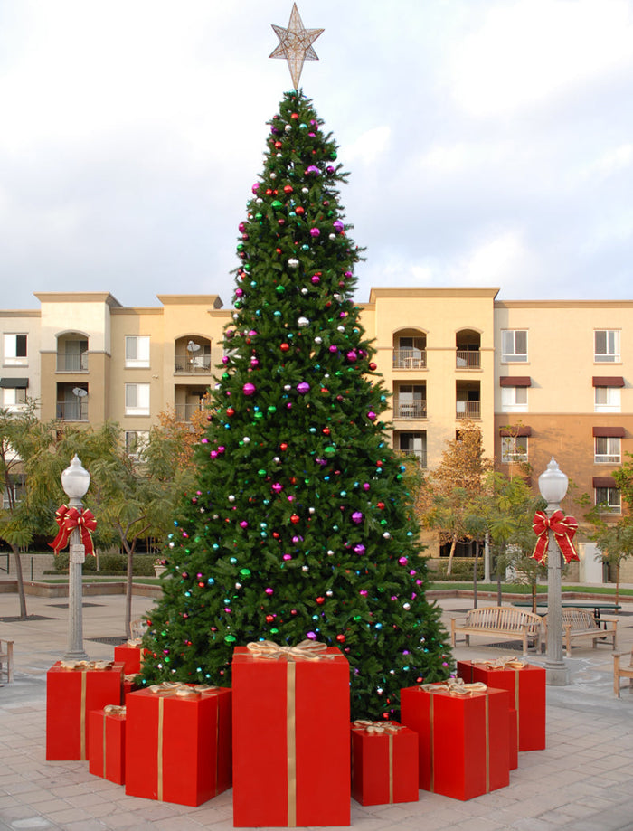 Olympia Pine Tree surrounded by gift boxes.