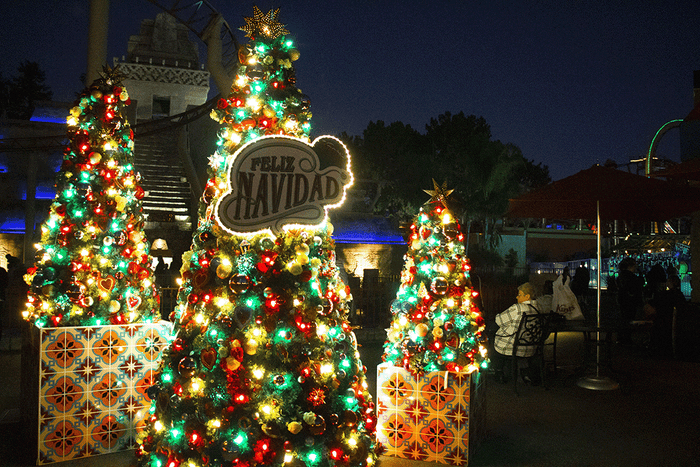Illuminated Christmas Trees