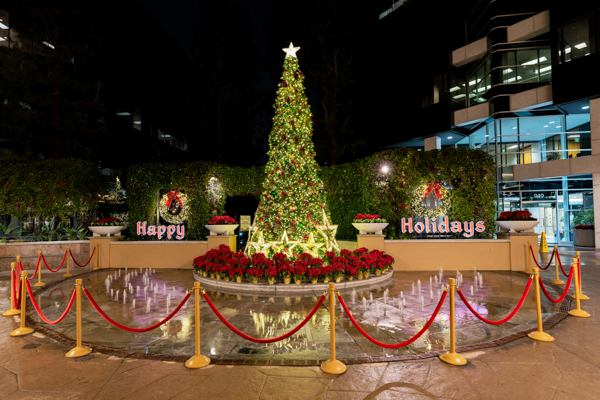 A giant Christmas tree with a warm white lighted star tree topper, the base is surrounded by giant lighted star decorations and artificial poinsettia plants. Behind the tree there are two wreaths and a sign that says happy holidays.