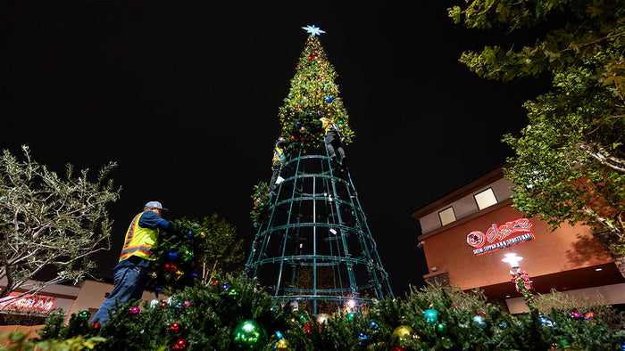 What Comes Up Must Go Down: Taking Down Holiday Décor