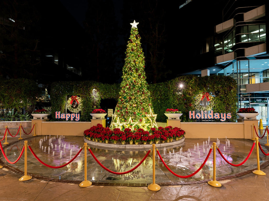 Choosing the Right Size Commercial Christmas Tree for Your Space
