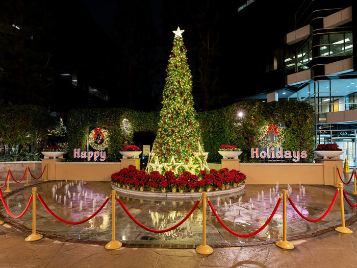 Choosing the Right Size Commercial Christmas Tree for Your Space
