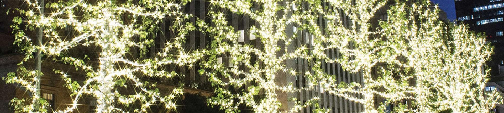 LED Mini Lights, Incandescent Mini Lights, and Decor