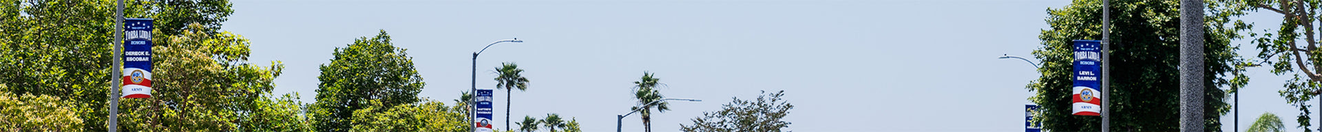 Patriotic banners hang across a city street with spring foliage and a blue sky in the background.