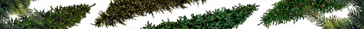 Traditional Trees 6'-15'