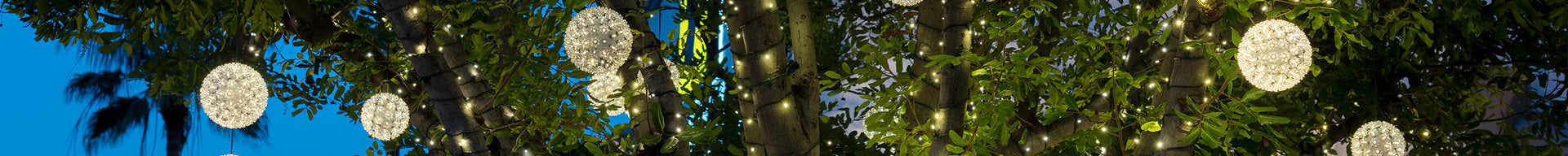 Five warm white LED lighted ornaments hanging from a deciduous tree.