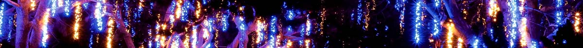 Motion Christmas Lights