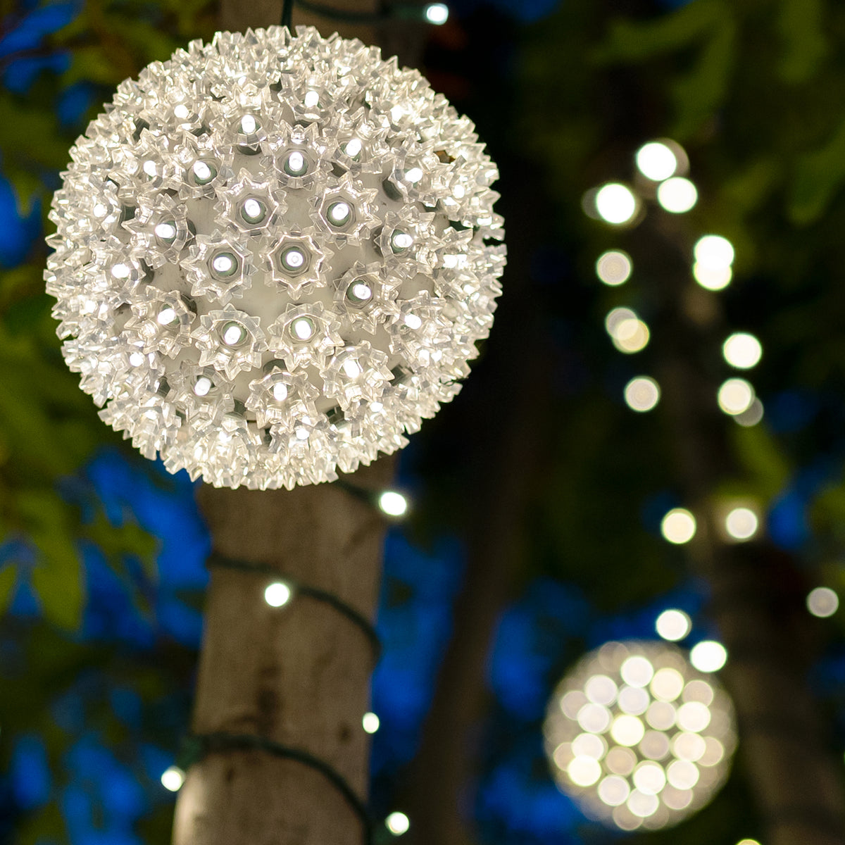 Everyday Décor Lighting, Props & Decorations DekraLite