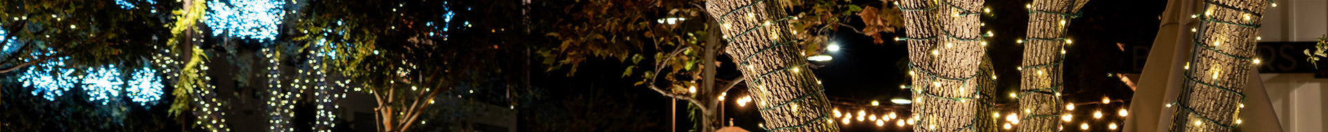 Lighting for All Seasons