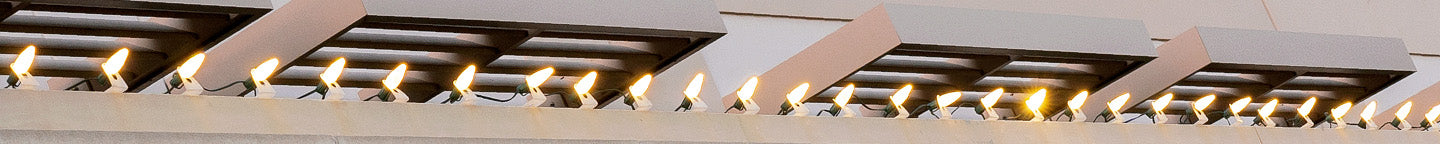 C7 Bulbs