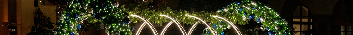 Christmas Arches and Lighted Archways