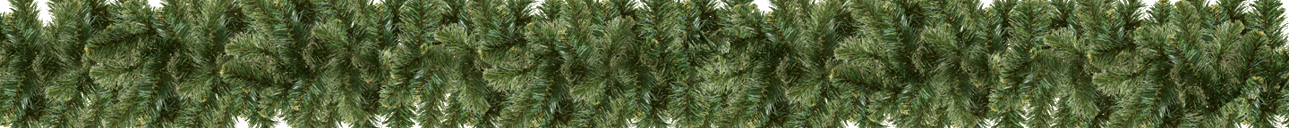 Olympia Pine Collection