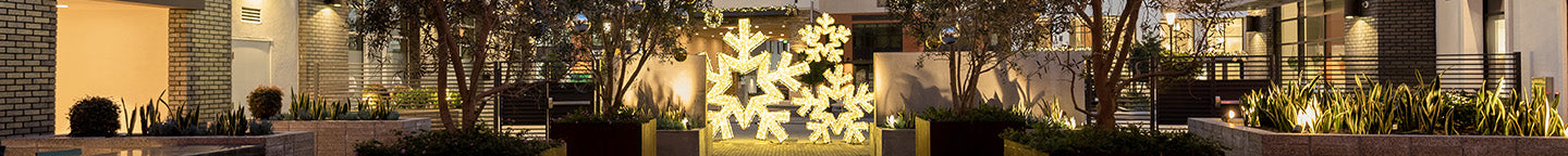 Regal Illuminated Décor