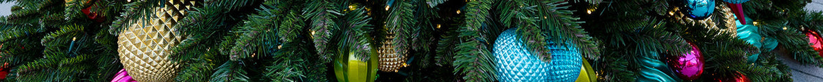 Bristle Pine