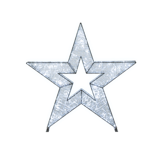 Waterloo Illuminated Stars