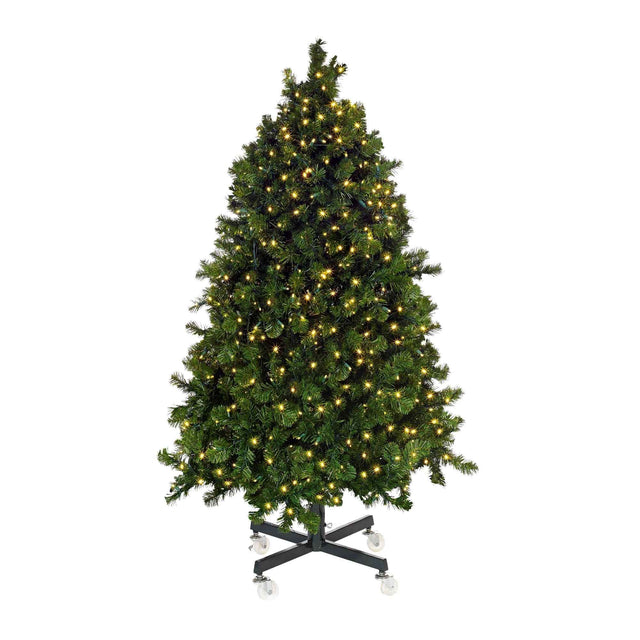 Olympia Pine Tree Collection Dekra-Lite