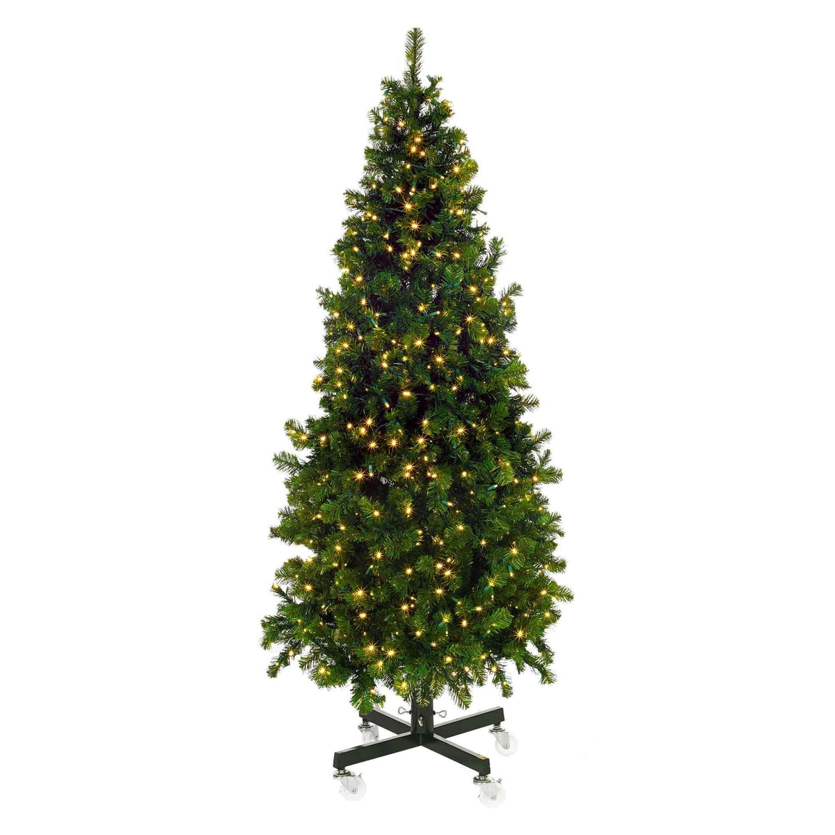 Olympia Pine Tree Collection