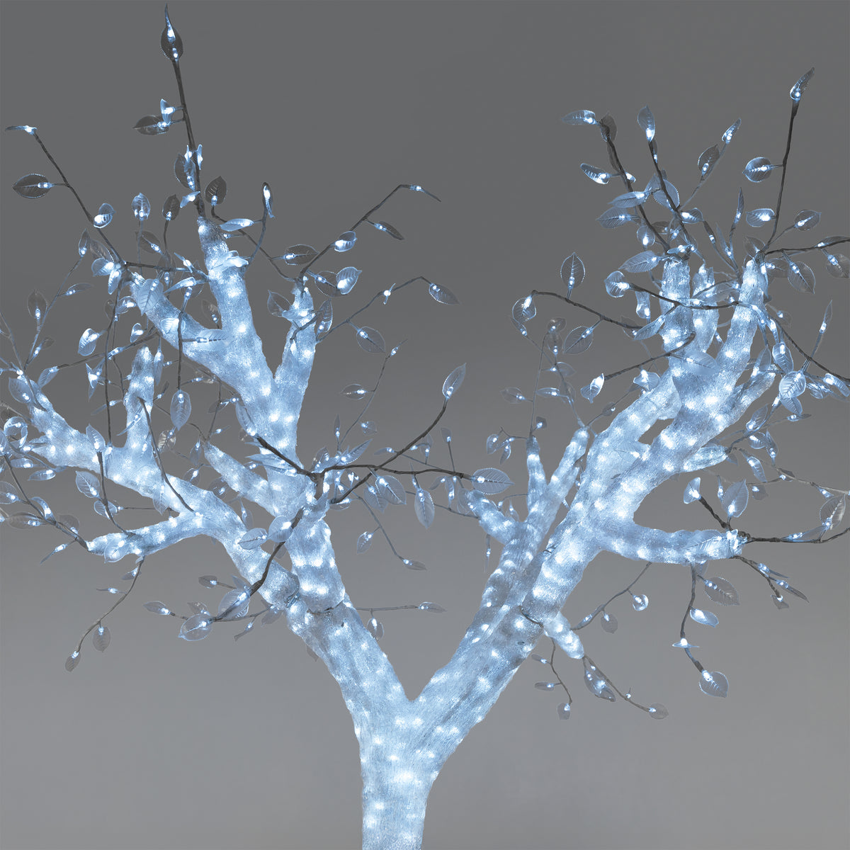 Acrylic Acacia Tree w- Cool White LED Lights